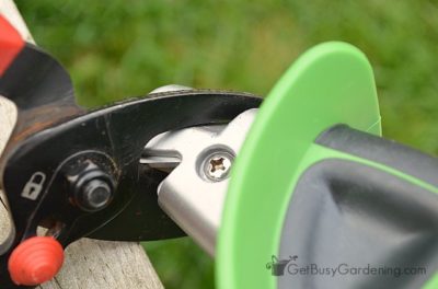 Как можно заточить садовые ножницы